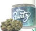 Best White Runtz Online